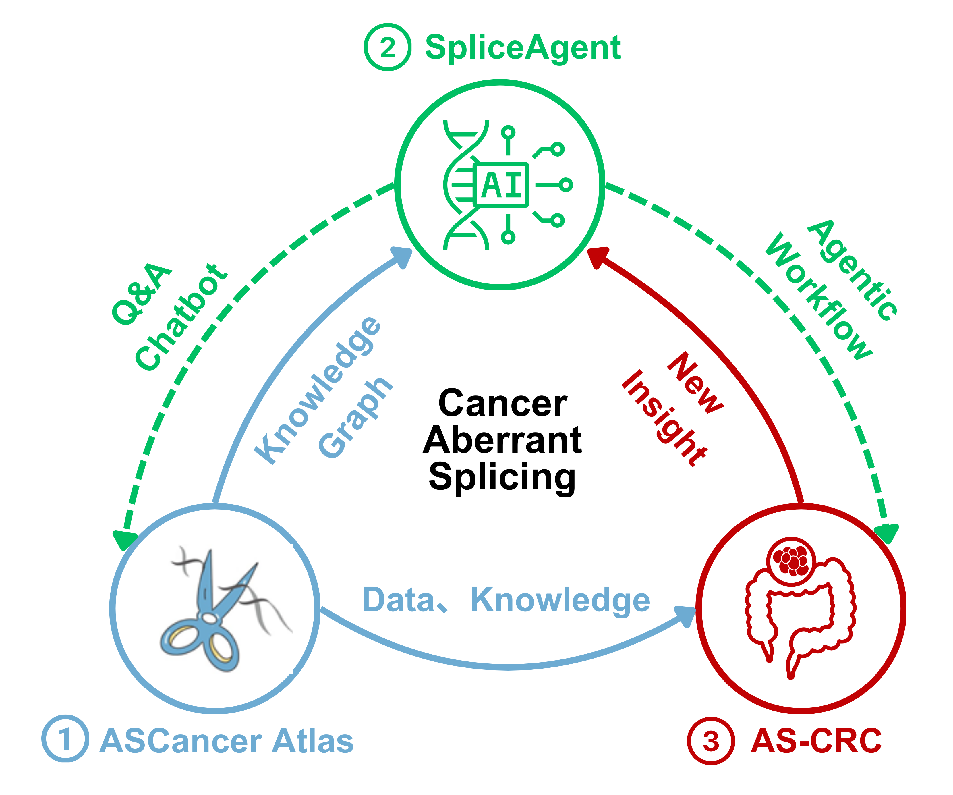 Splicing Study Overview